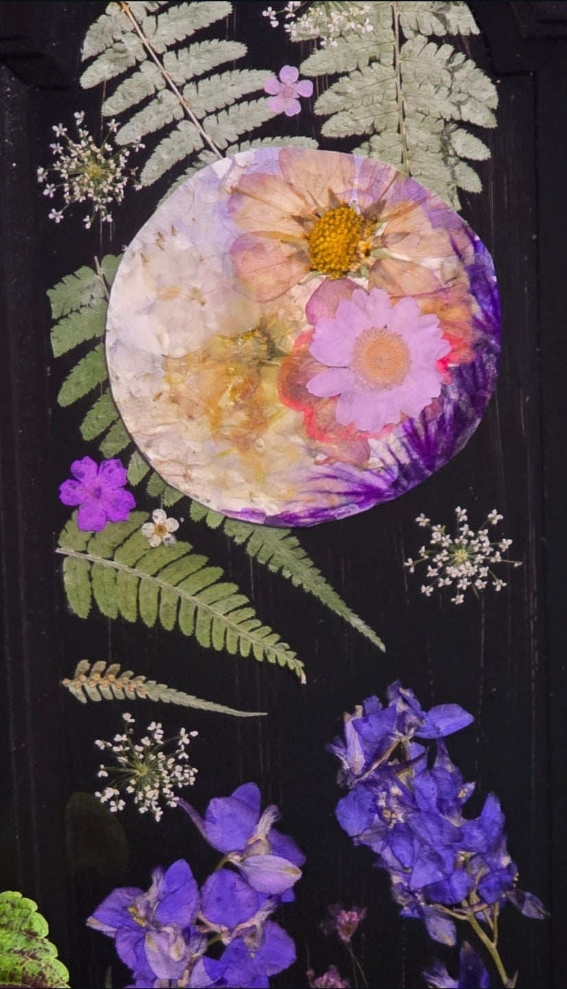 Midnight Garden