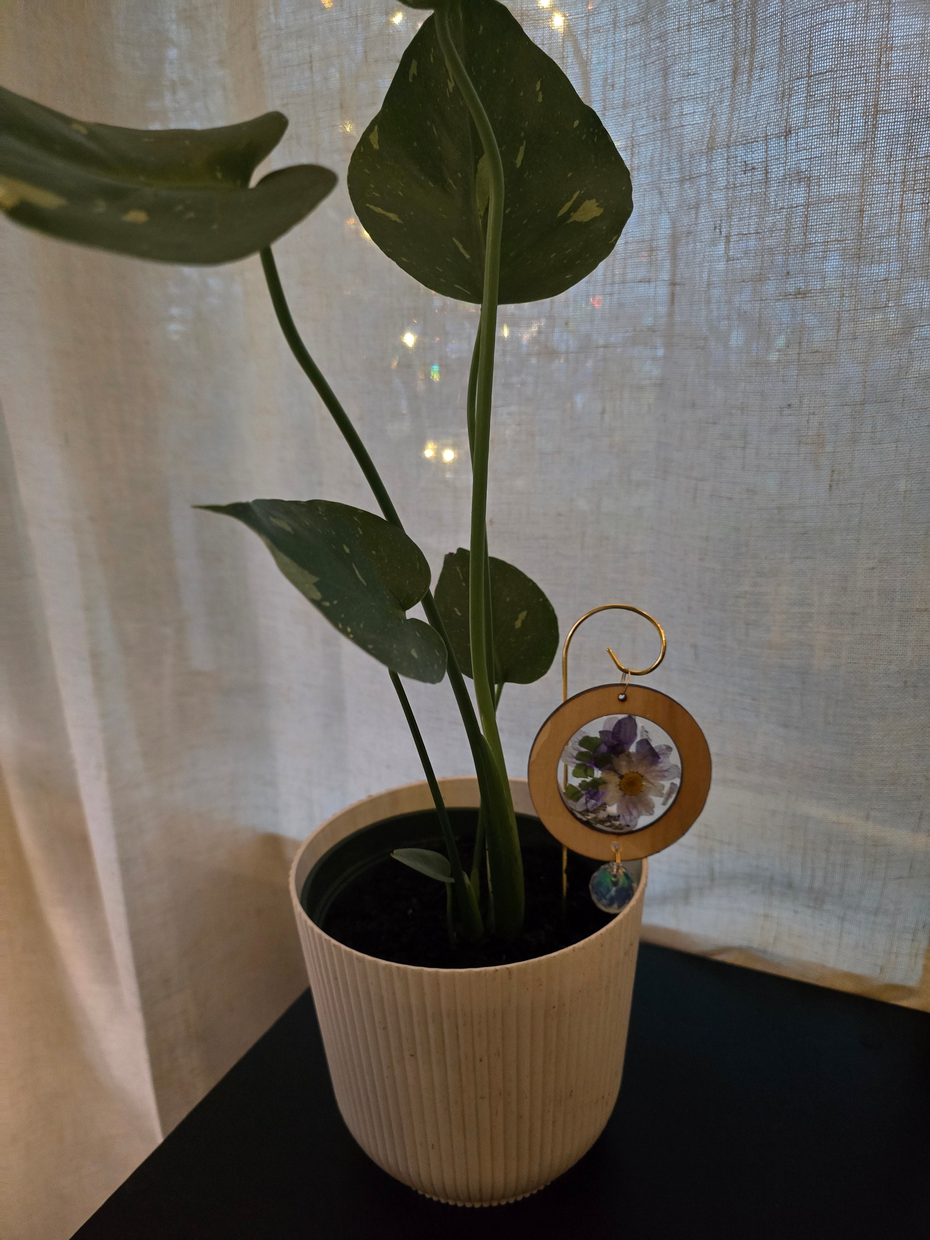 Plant Charms// Single Charm