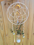 Dream Catcher// Propagation Station