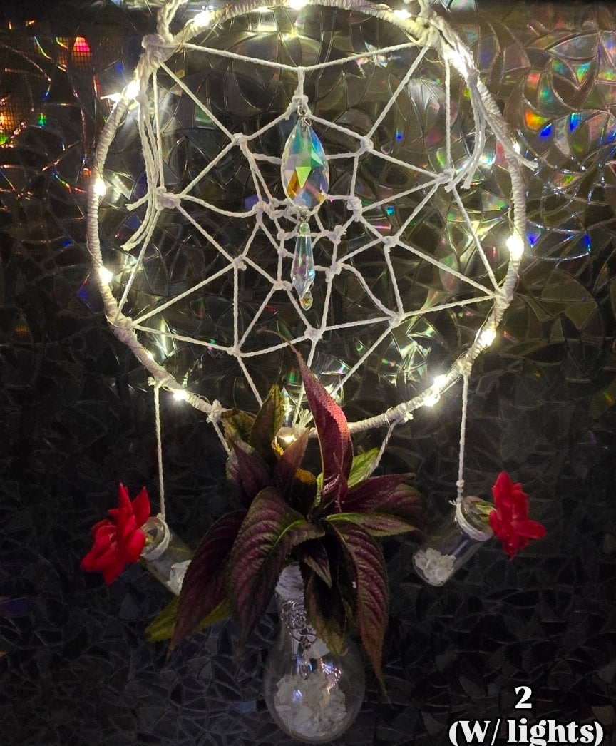 Dream Catcher// Propagation Station