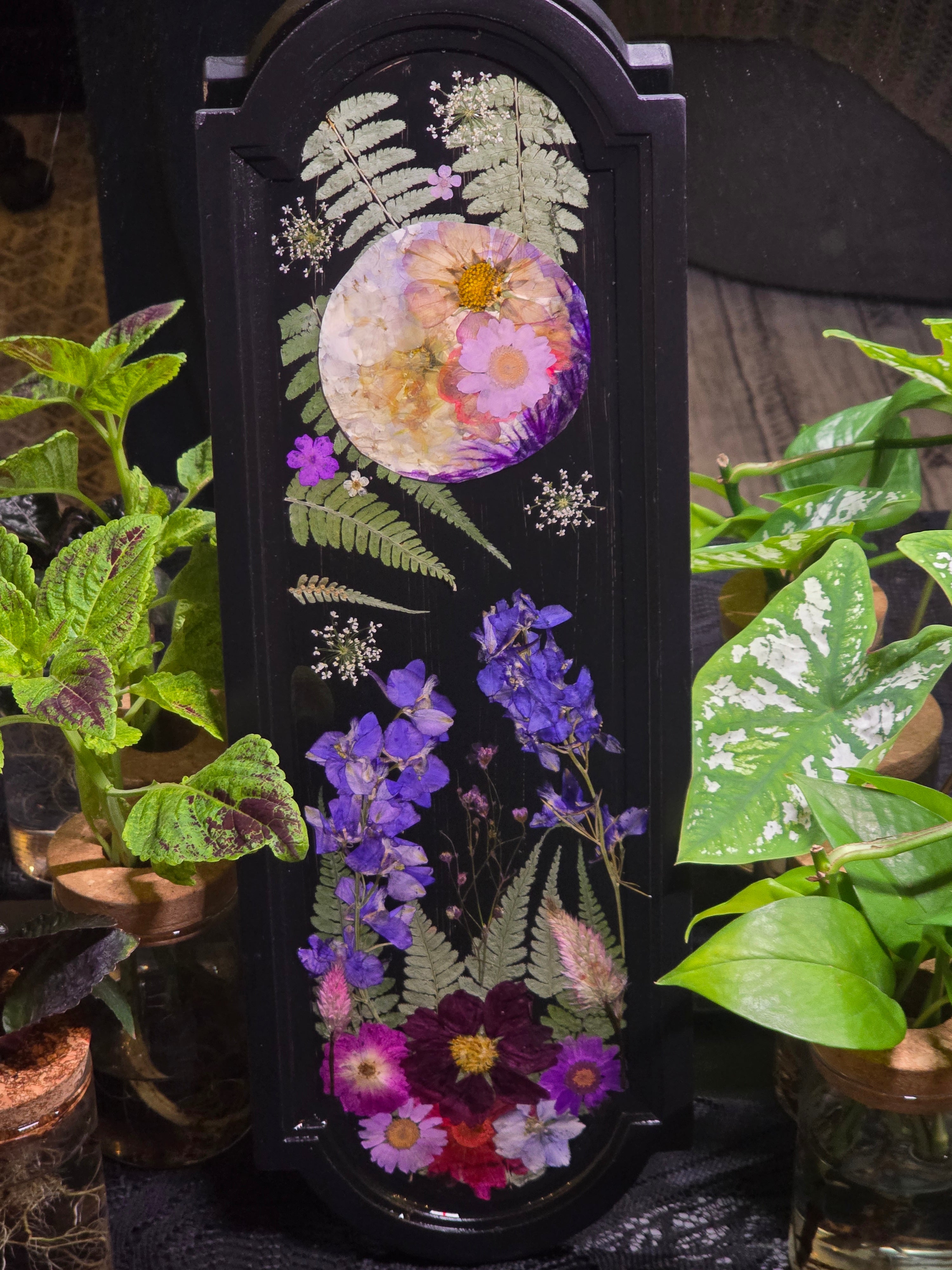 Midnight Garden